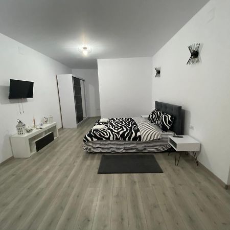 Sergiu'S Rooms Tălmaciu Exteriér fotografie