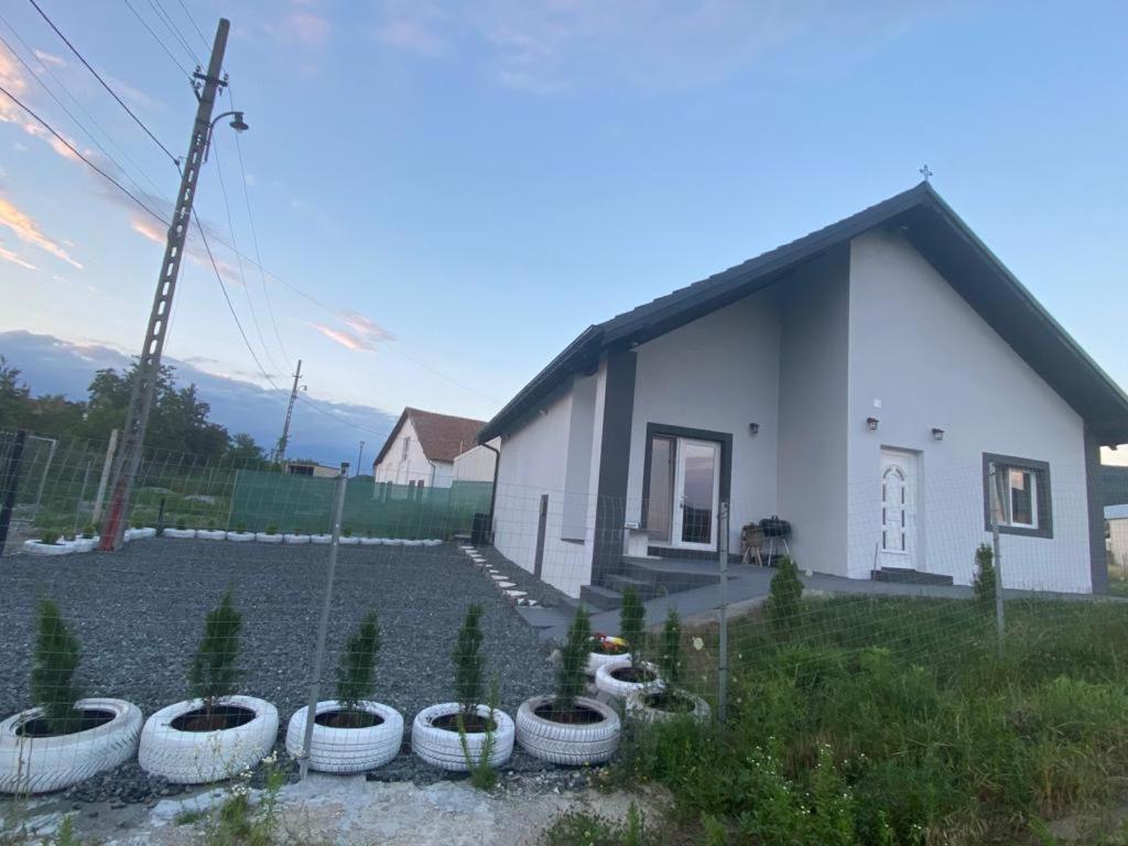 Sergiu'S Rooms Tălmaciu Exteriér fotografie