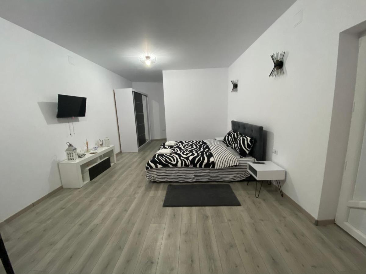 Sergiu'S Rooms Tălmaciu Exteriér fotografie