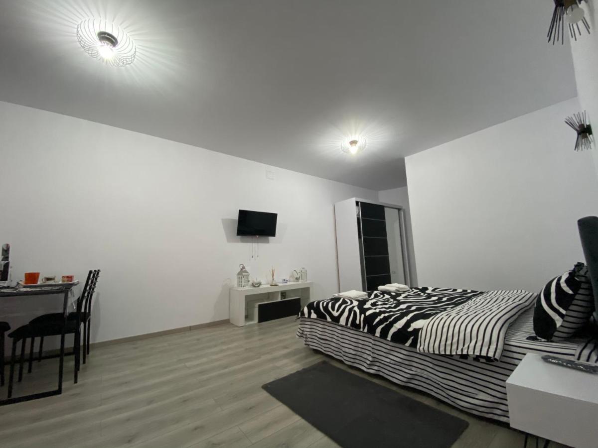 Sergiu'S Rooms Tălmaciu Exteriér fotografie